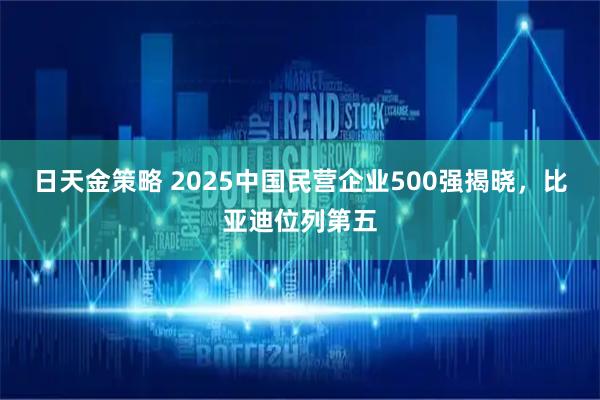 日天金策略 2025中国民营企业500强揭晓，比亚迪位列第五