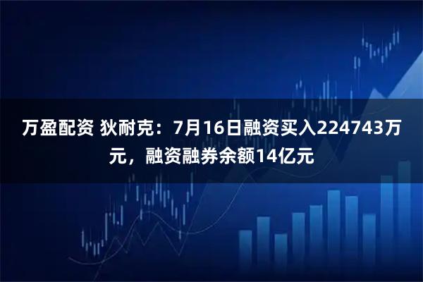 万盈配资 狄耐克：7月16日融资买入224743万元，融资融券余额14亿元