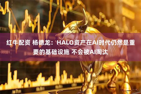 红牛配资 杨德龙：HALO资产在AI时代仍然是重要的基础设施 不会被AI淘汰