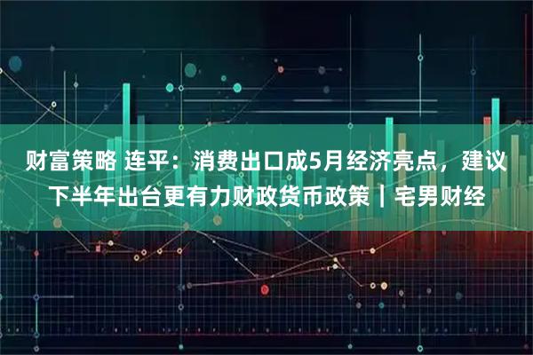 财富策略 连平：消费出口成5月经济亮点，建议下半年出台更有力财政货币政策｜宅男财经