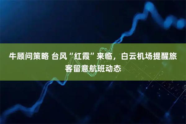 牛顾问策略 台风“红霞”来临，白云机场提醒旅客留意航班动态