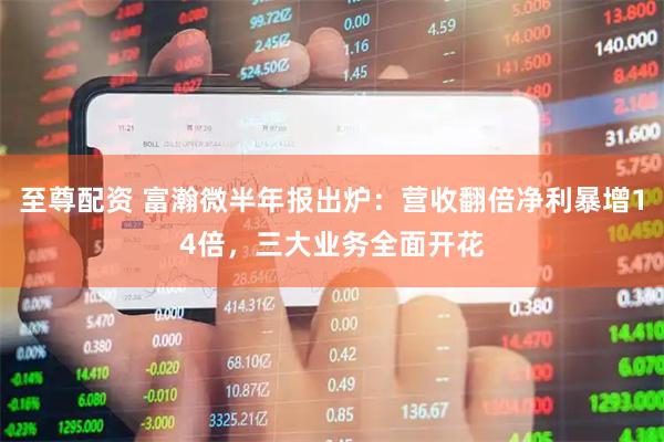 至尊配资 富瀚微半年报出炉：营收翻倍净利暴增14倍，三大业务全面开花
